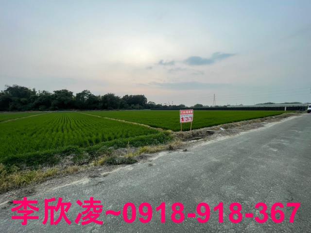 白河農地-6