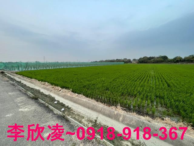 白河農地-7