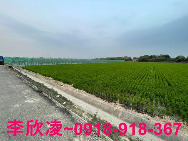 白河農地-8