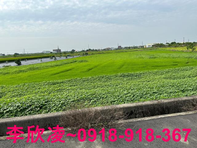 朴子農地-1