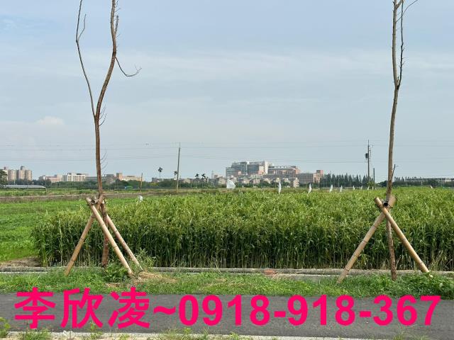 朴子農地-3