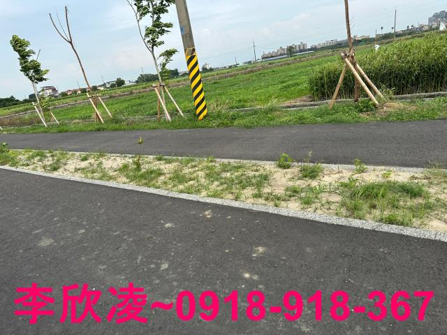 朴子農地-4