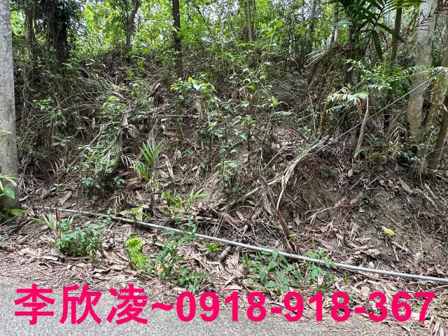 古坑農地-4