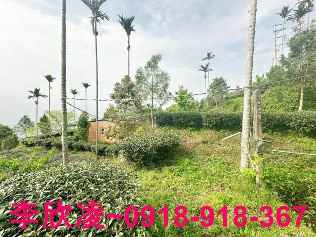梅山農地-11