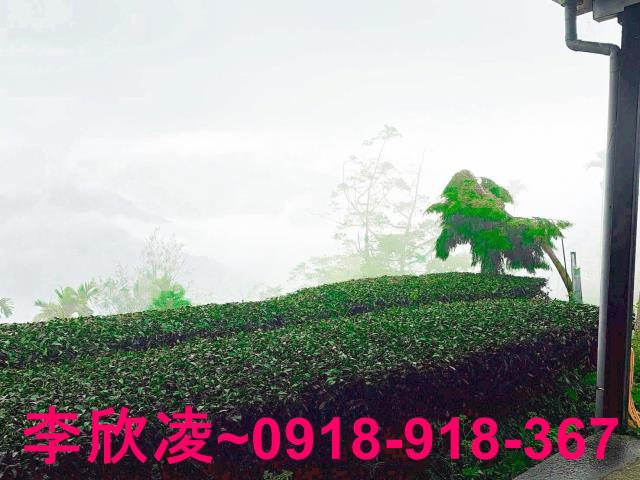 梅山農地-0