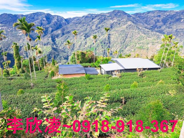 梅山農地-4