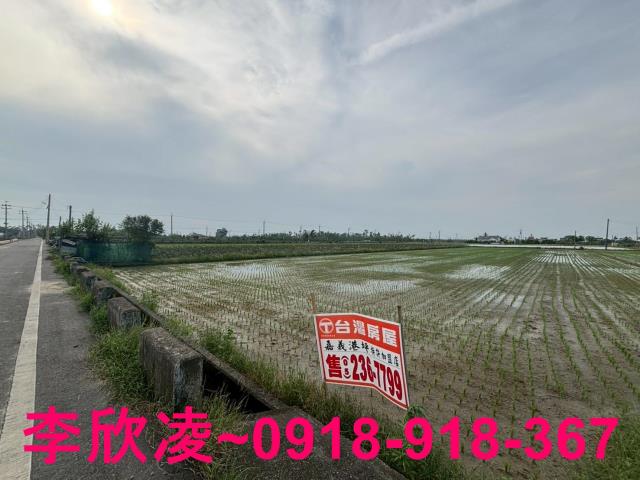 白河農地-1
