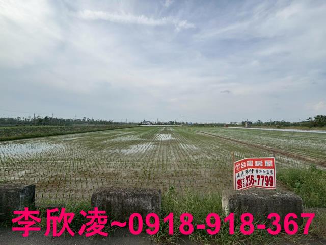 白河農地-3