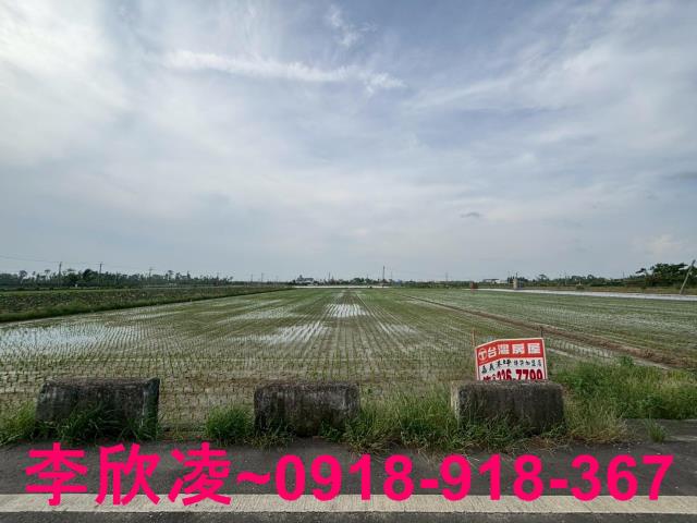 白河農地-4