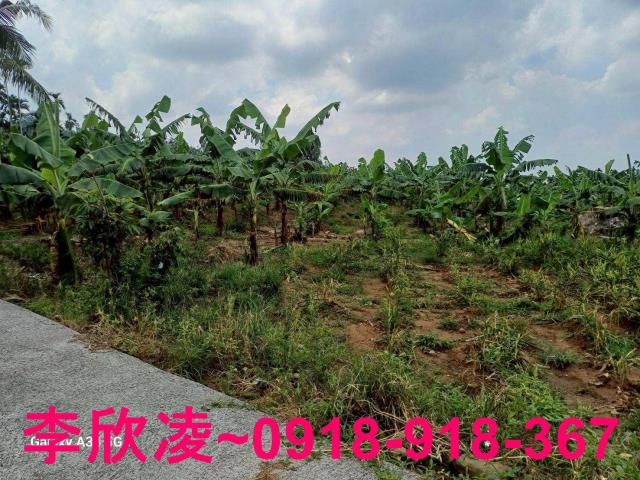 中埔農地-12
