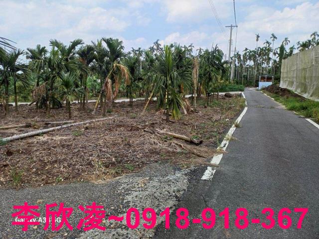 中埔農地-13