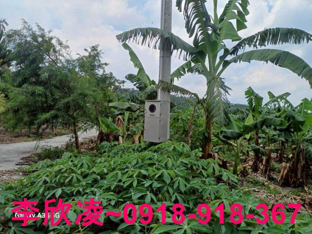 中埔農地-0