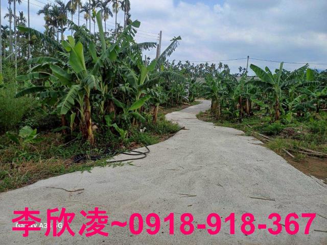 中埔農地-2