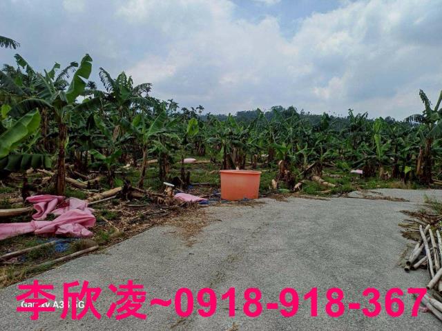 中埔農地-7