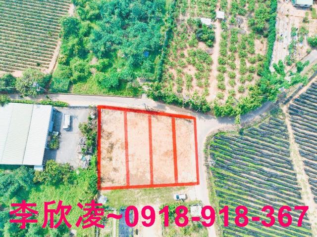 嘉義農地-0