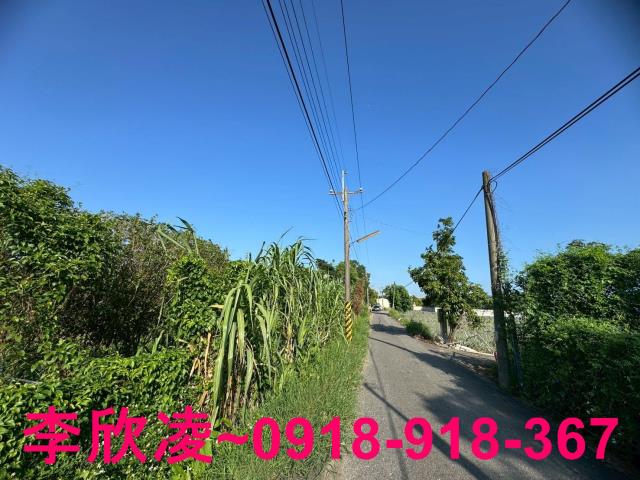 民雄農地-0