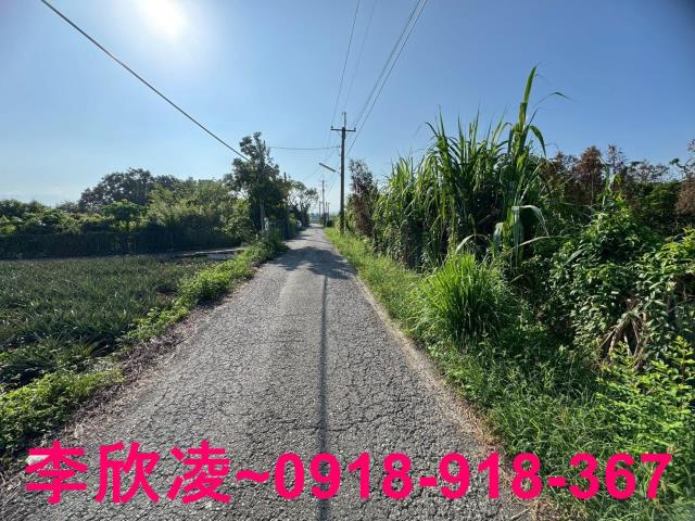 民雄農地-1