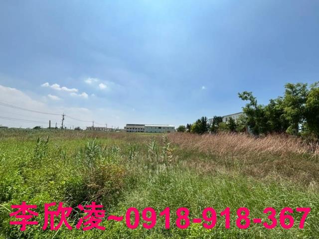 布袋農地-3