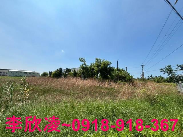 布袋農地-4