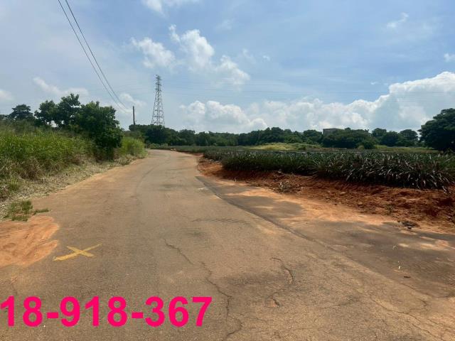 沙鹿農地-4